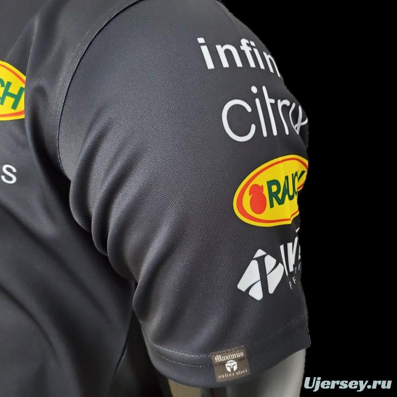 F1 Formula One 2022 Red Bull Honda 