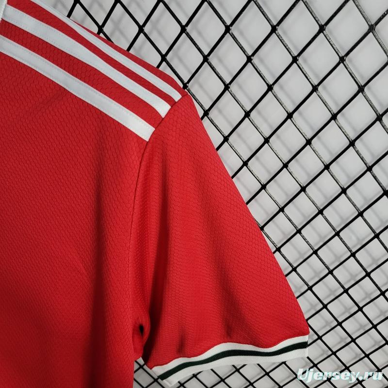 2022 Wales Home Soccer Jersey