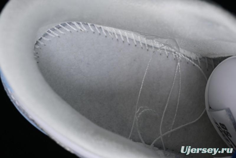 Nike Dunk Low SB Skateboarding Shoes - FD2562-300