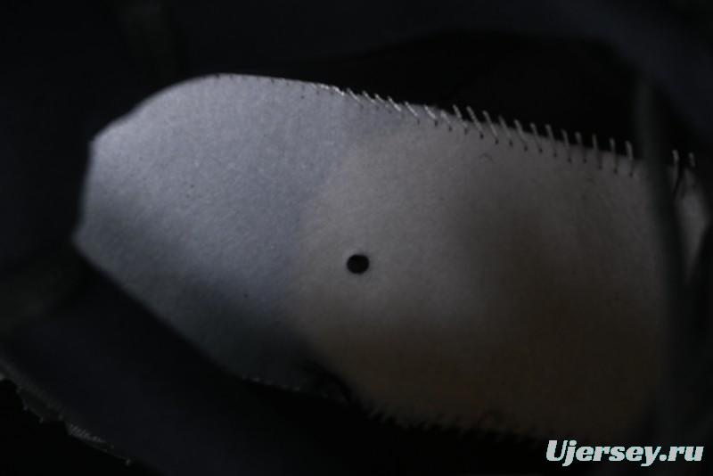 Nike ACG Mountain Fly 2 Low SP Outdoor Hiking Shoes with GORE-TEX and React Foam - FZ3311-001