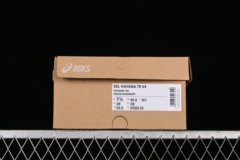 Asics Gel-Kahana Tr V4 Running Shoes with FF BLAST PLUS Cushioning Technology - 1203A585-100