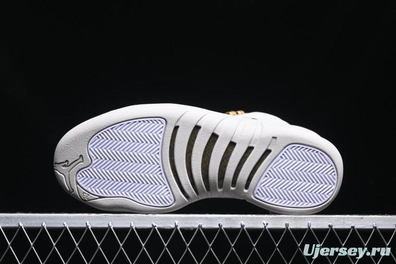 Nike Air Jordan 12 Retro Basketball Shoes - FD9101-007