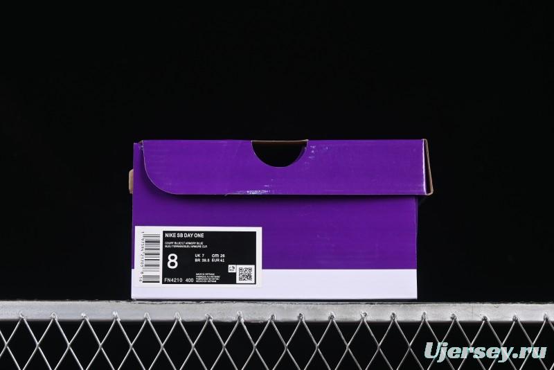 Nike SB Day One Low Top Casual Skate Shoes with Air Zoom Cushion - FN4210-400