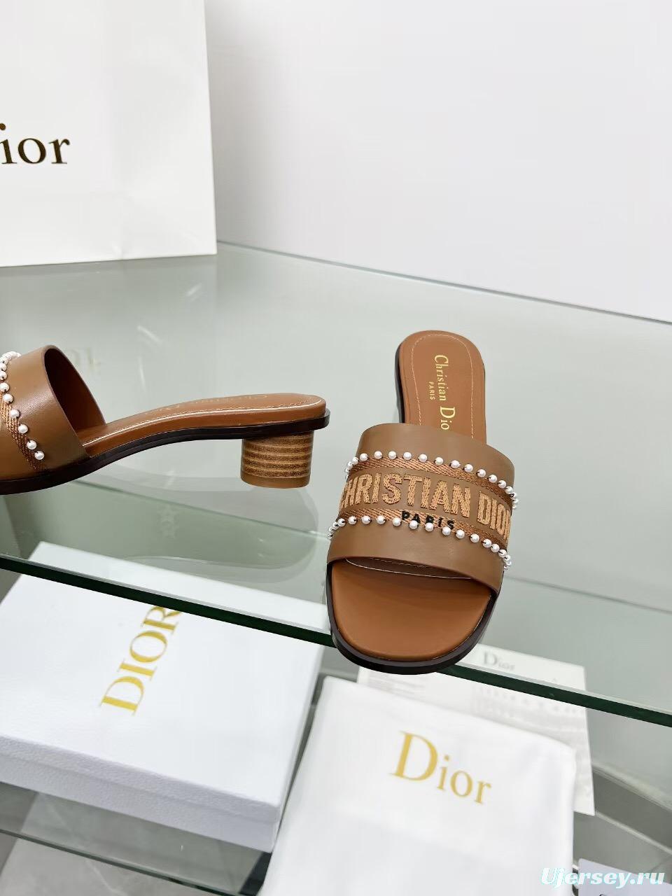 2025 Women Dior Brown Leather Mule Beaded LY00210