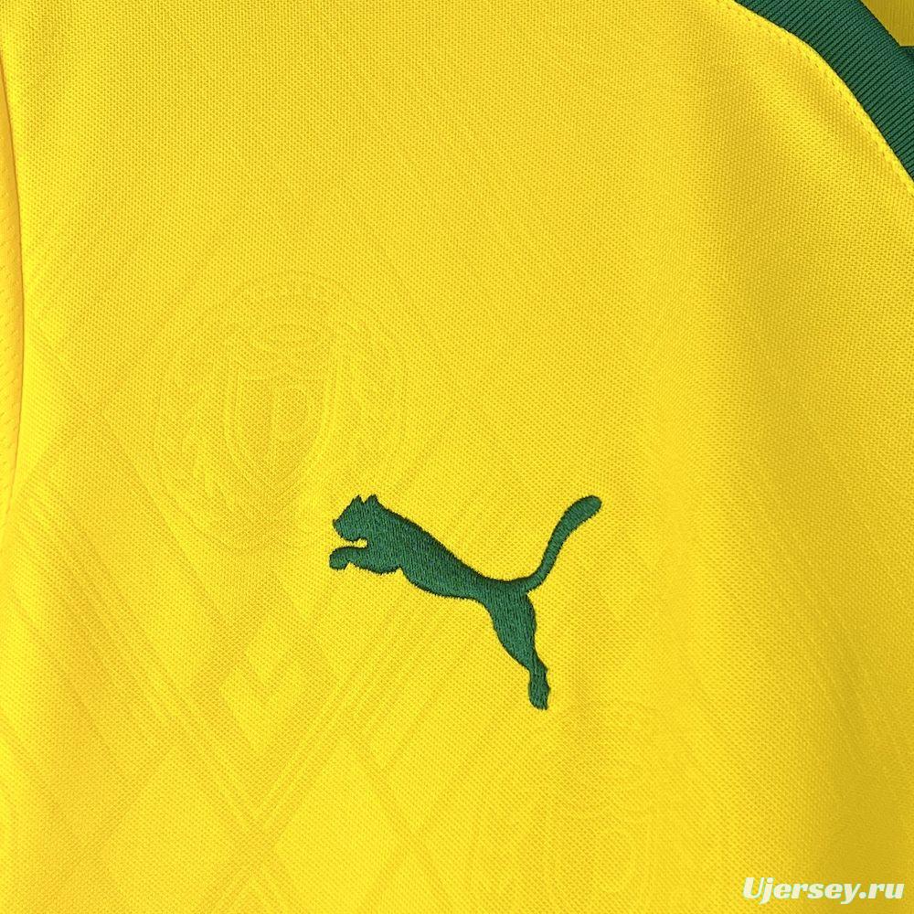 2025/26 Mens Palmeiras Third Jersey